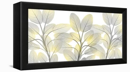 Illuminated Beauty 1-Albert Koetsier-Framed Premier Image Canvas