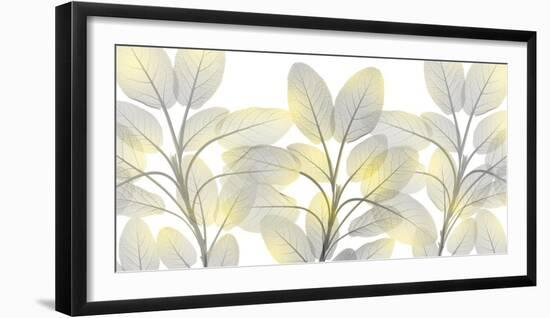 Illuminated Beauty 1-Albert Koetsier-Framed Photographic Print