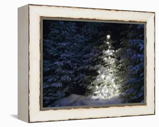 Illuminated Christmas Tree in Snow-Larry Williams-Framed Premier Image Canvas