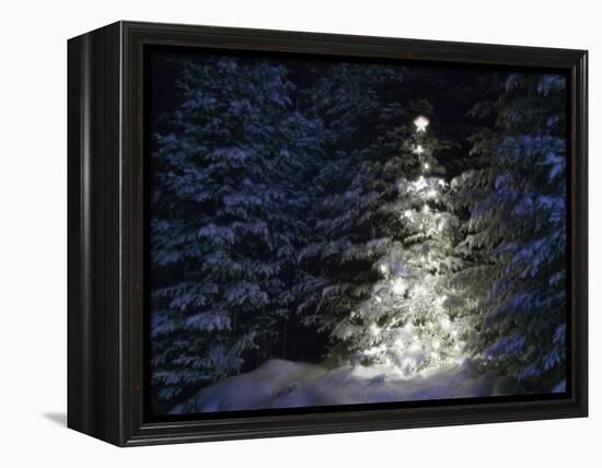 Illuminated Christmas Tree in Snow-Larry Williams-Framed Premier Image Canvas