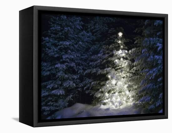 Illuminated Christmas Tree in Snow-Larry Williams-Framed Premier Image Canvas