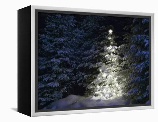 Illuminated Christmas Tree in Snow-Larry Williams-Framed Premier Image Canvas