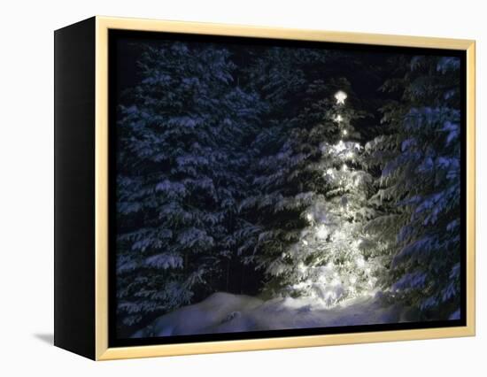 Illuminated Christmas Tree in Snow-Larry Williams-Framed Premier Image Canvas