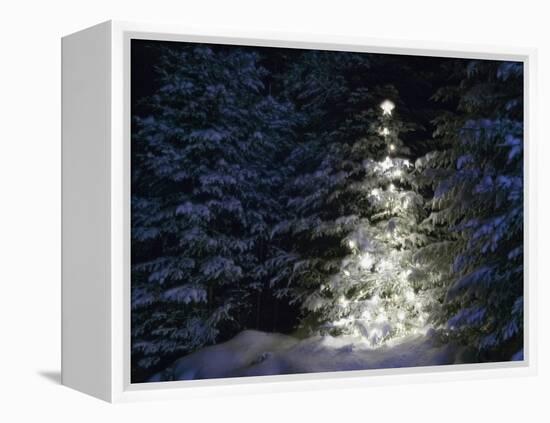 Illuminated Christmas Tree in Snow-Larry Williams-Framed Premier Image Canvas