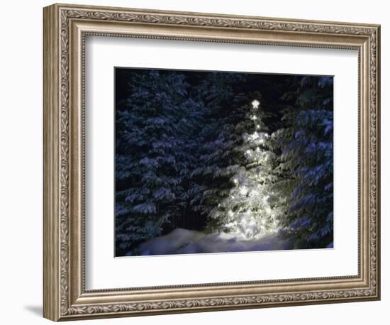 Illuminated Christmas Tree in Snow-Larry Williams-Framed Photographic Print