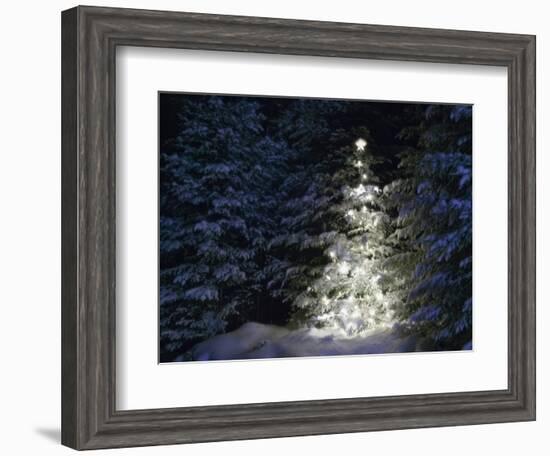 Illuminated Christmas Tree in Snow-Larry Williams-Framed Photographic Print