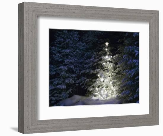 Illuminated Christmas Tree in Snow-Larry Williams-Framed Photographic Print