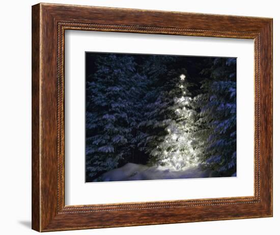 Illuminated Christmas Tree in Snow-Larry Williams-Framed Photographic Print