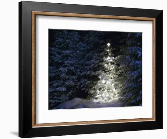 Illuminated Christmas Tree in Snow-Larry Williams-Framed Photographic Print