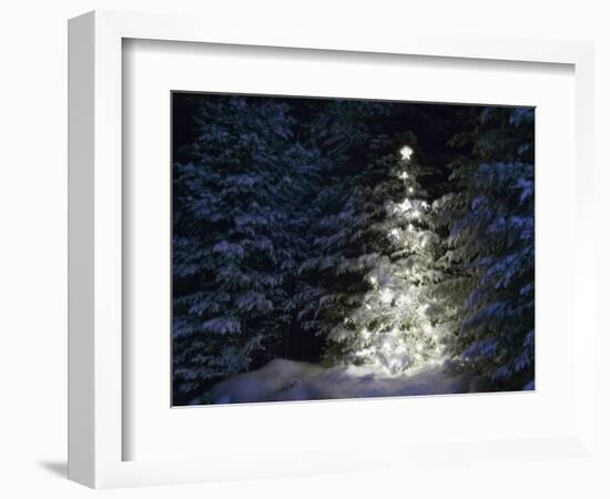 Illuminated Christmas Tree in Snow-Larry Williams-Framed Photographic Print