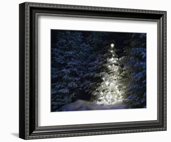 Illuminated Christmas Tree in Snow-Larry Williams-Framed Photographic Print