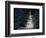 Illuminated Christmas Tree in Snow-Larry Williams-Framed Photographic Print