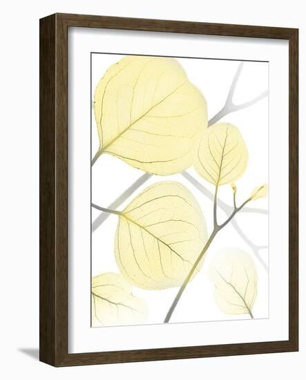 Illuminated Eternity 1-Albert Koetsier-Framed Photographic Print