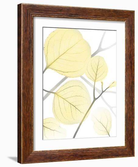 Illuminated Eternity 1-Albert Koetsier-Framed Photographic Print