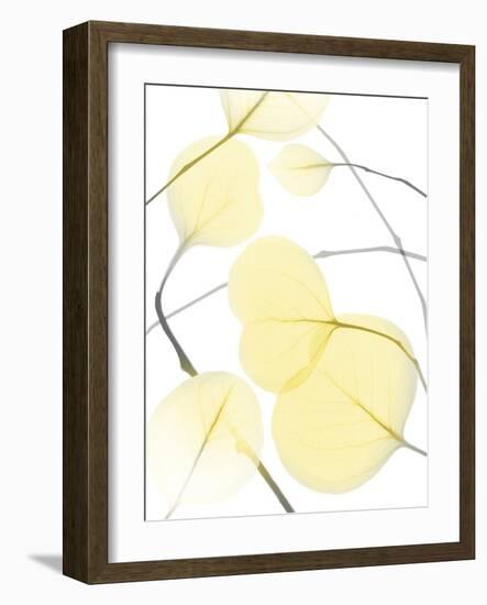 Illuminated Eternity 2-Albert Koetsier-Framed Photographic Print