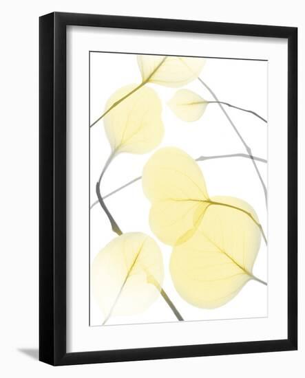 Illuminated Eternity 2-Albert Koetsier-Framed Photographic Print