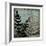 Illuminated Ferns V-Megan Meagher-Framed Art Print