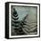 Illuminated Ferns V-Megan Meagher-Framed Stretched Canvas
