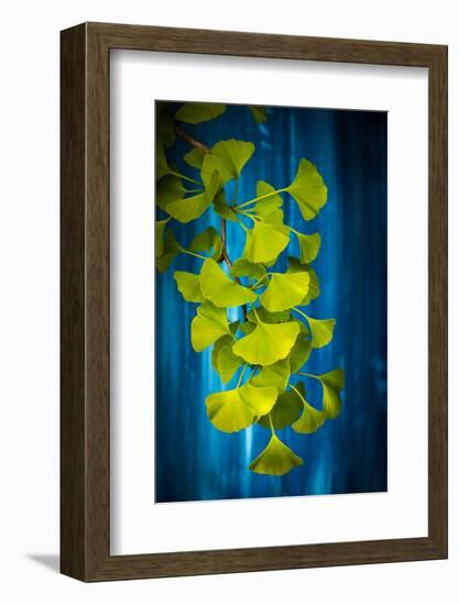 Illuminated Green-Philippe Sainte-Laudy-Framed Photographic Print