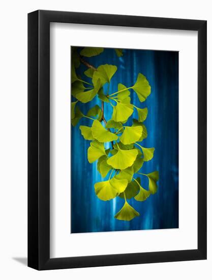 Illuminated Green-Philippe Sainte-Laudy-Framed Photographic Print