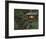 Illuminated Lantern in Portland Japanese Garden, Oregon, USA-William Sutton-Framed Photographic Print