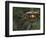 Illuminated Lantern in Portland Japanese Garden, Oregon, USA-William Sutton-Framed Photographic Print