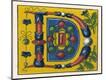 Premium Giclee Print