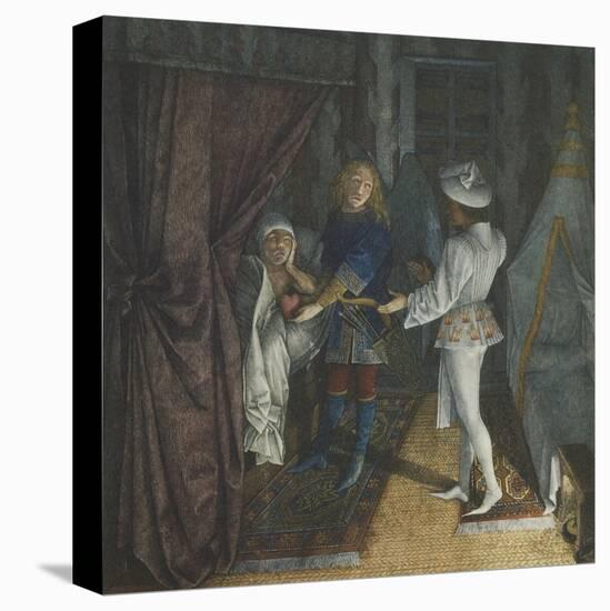 Stretched Canvas Print, , large