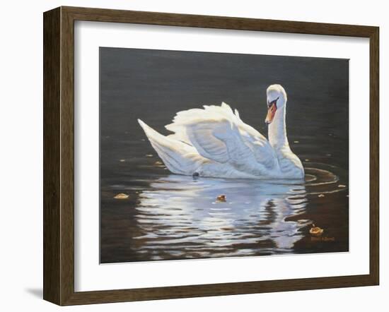 Illuminated Swan-Bruce Dumas-Framed Giclee Print