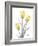 Illuminating Tulip Trio 2-Albert Koetsier-Framed Photographic Print