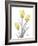 Illuminating Tulip Trio 2-Albert Koetsier-Framed Photographic Print