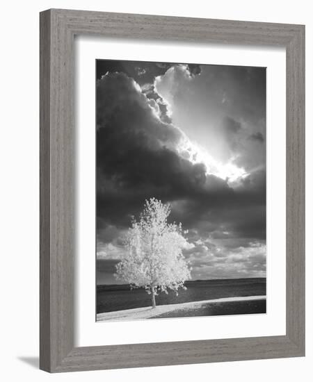 Illumination, Baraga, Michigan ‘10-Monte Nagler-Framed Photographic Print