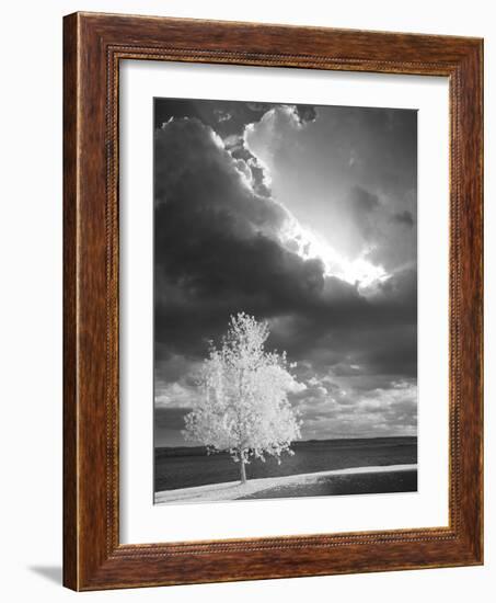 Illumination, Baraga, Michigan ‘10-Monte Nagler-Framed Photographic Print