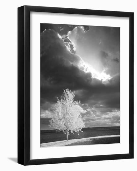 Illumination, Baraga, Michigan ‘10-Monte Nagler-Framed Photographic Print