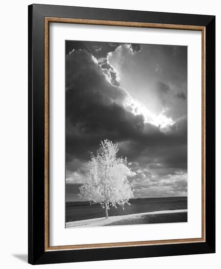 Illumination, Baraga, Michigan ‘10-Monte Nagler-Framed Photographic Print