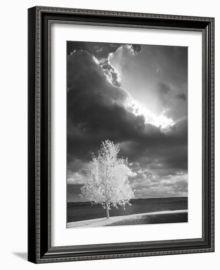 Illumination, Baraga, Michigan ‘10-Monte Nagler-Framed Photographic Print