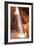 Illumination I-Moises Levy-Framed Photographic Print