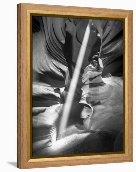 Illumination II-Moises Levy-Framed Premier Image Canvas