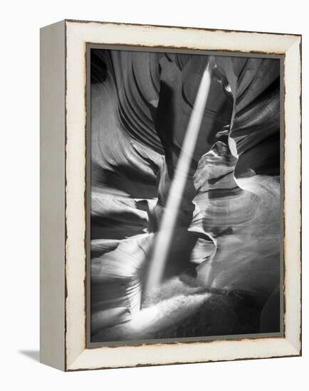 Illumination II-Moises Levy-Framed Premier Image Canvas