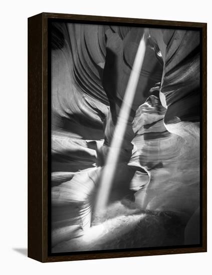 Illumination II-Moises Levy-Framed Premier Image Canvas