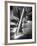 Illumination II-Moises Levy-Framed Photographic Print