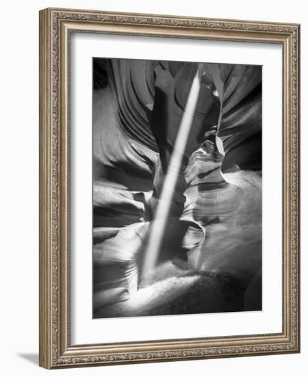 Illumination II-Moises Levy-Framed Photographic Print