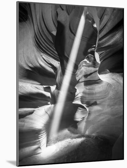 Illumination II-Moises Levy-Mounted Photographic Print