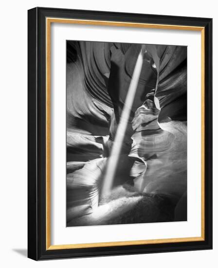 Illumination II-Moises Levy-Framed Photographic Print