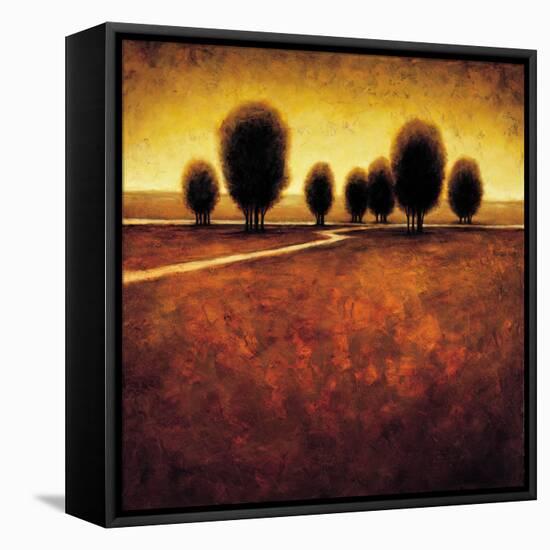 Illumination-Gregory Williams-Framed Stretched Canvas