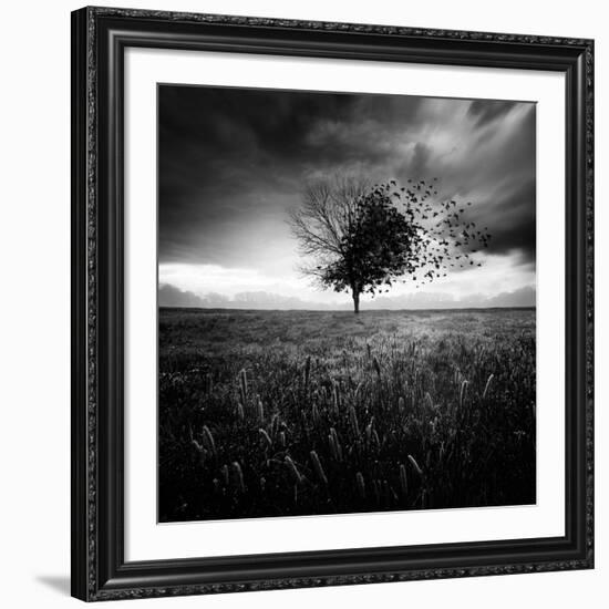 Illusion D'Un Printemps Perdu-Sebastien Del Grosso-Framed Photographic Print