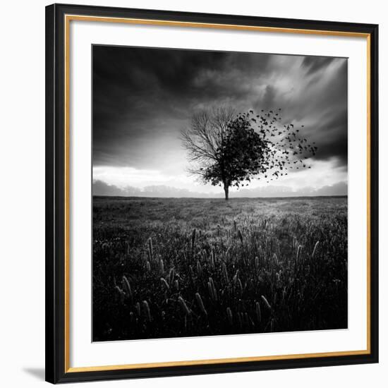 Illusion D'Un Printemps Perdu-Sebastien Del Grosso-Framed Photographic Print