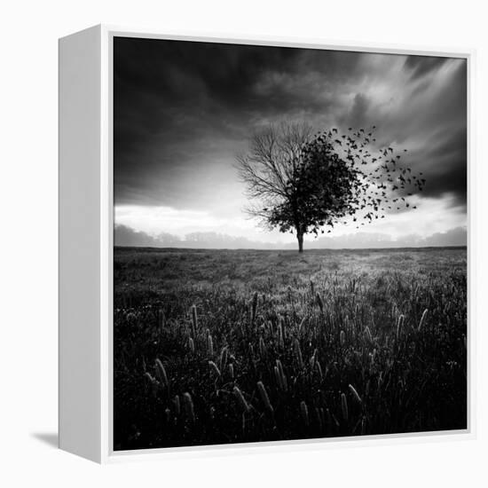 Illusion D'Un Printemps Perdu-Sebastien Del Grosso-Framed Premier Image Canvas