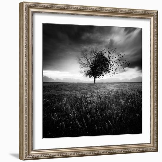 Illusion D'Un Printemps Perdu-Sebastien Del Grosso-Framed Photographic Print