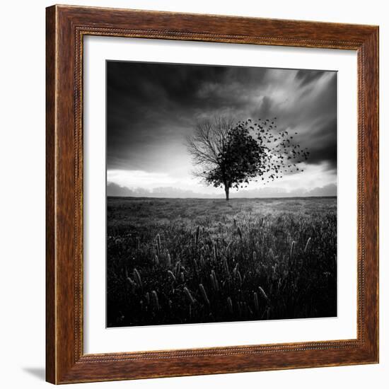 Illusion D'Un Printemps Perdu-Sebastien Del Grosso-Framed Photographic Print